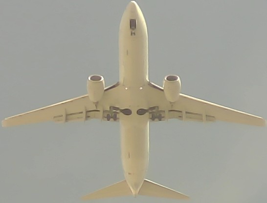 Airplane Picture