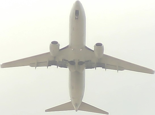 Airplane Picture