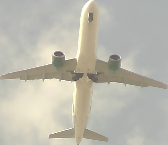 Airplane Picture