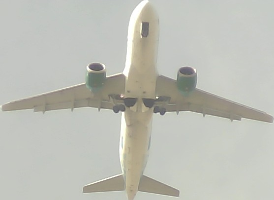Airplane Picture