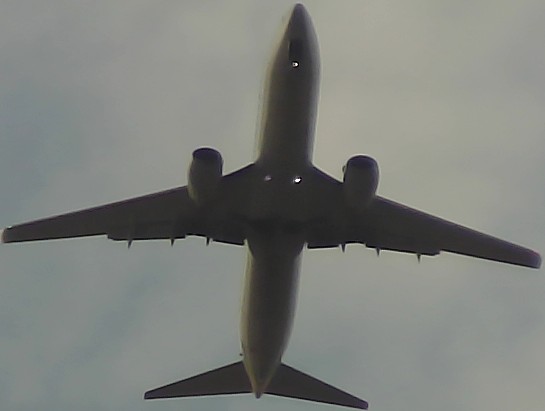 Airplane Picture