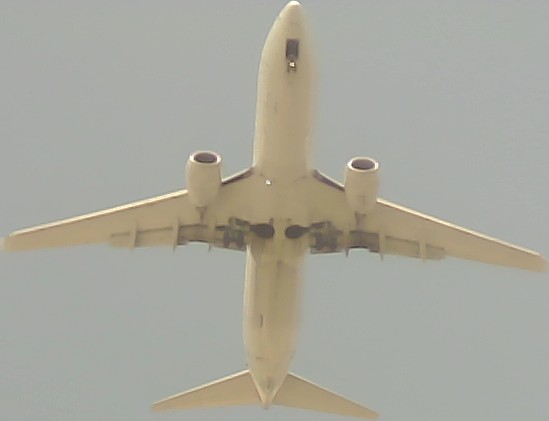 Airplane Picture