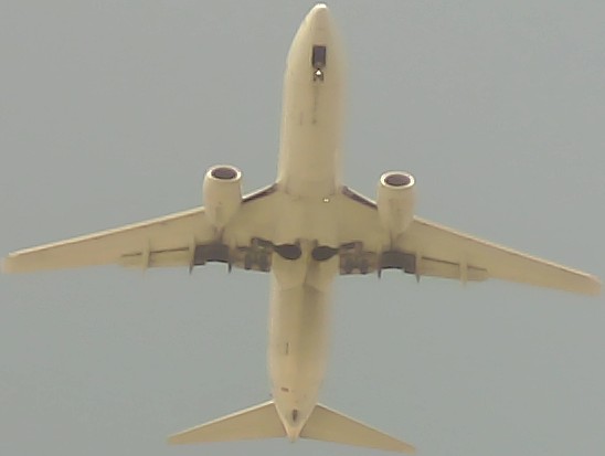 Airplane Picture
