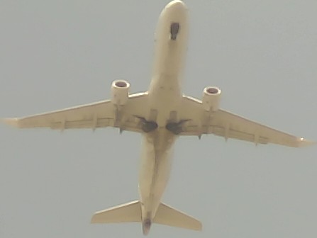 Airplane Picture