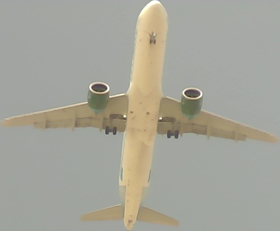 Airplane Picture