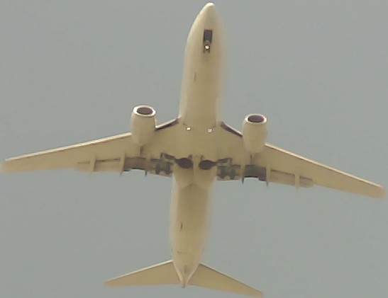 Airplane Picture