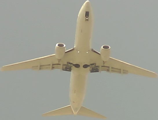 Airplane Picture