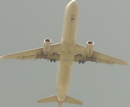 Airplane Picture