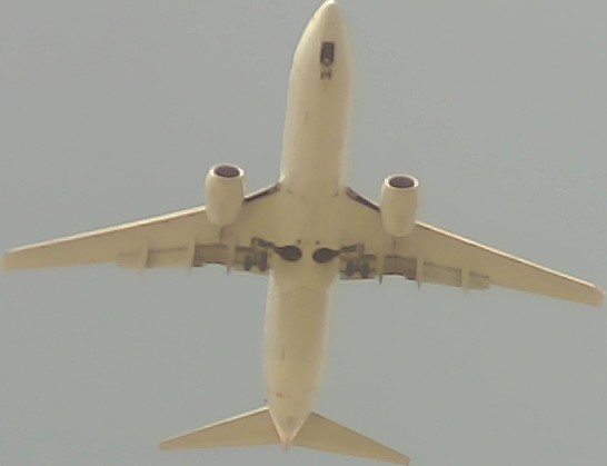 Airplane Picture