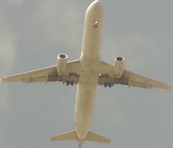 Airplane Picture