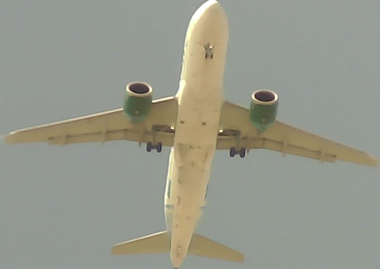 Airplane Picture
