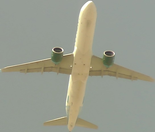 Airplane Picture