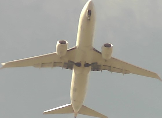 Airplane Picture