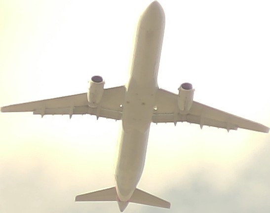 Airplane Picture