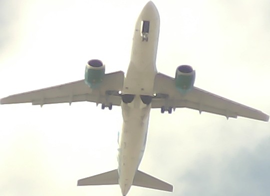 Airplane Picture