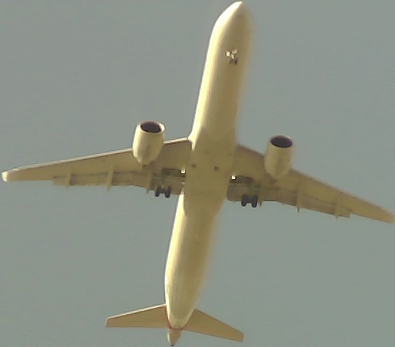 Airplane Picture