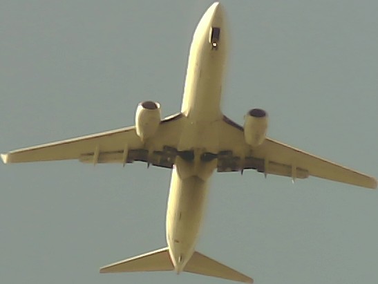 Airplane Picture