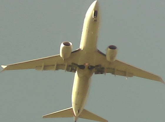Airplane Picture
