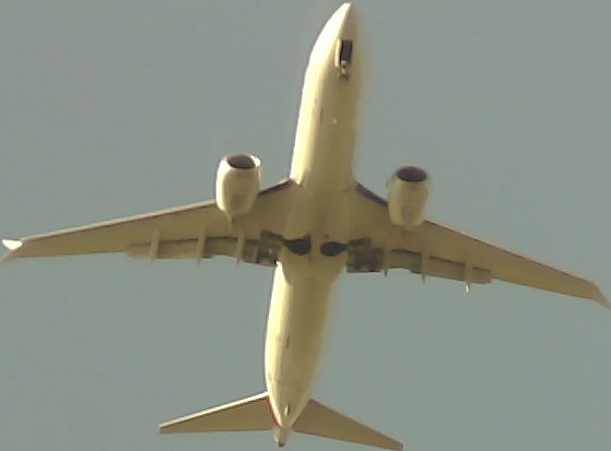 Airplane Picture
