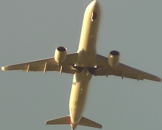 Airplane Picture