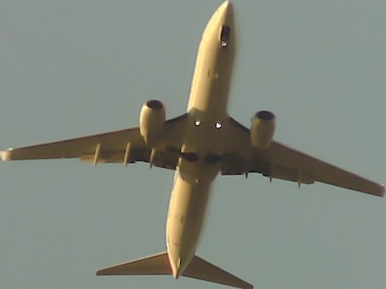 Airplane Picture