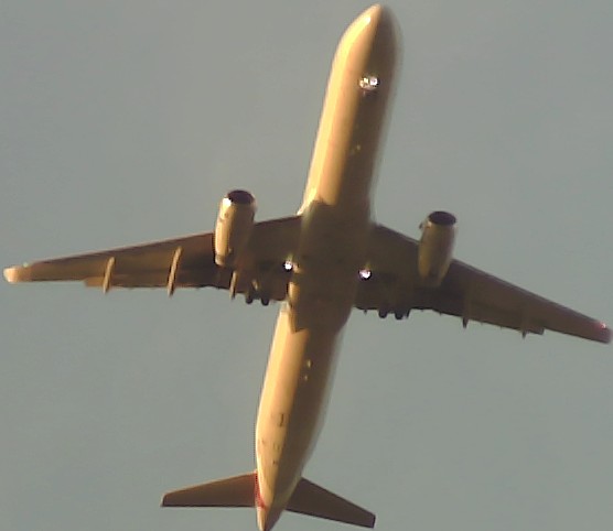 Airplane Picture