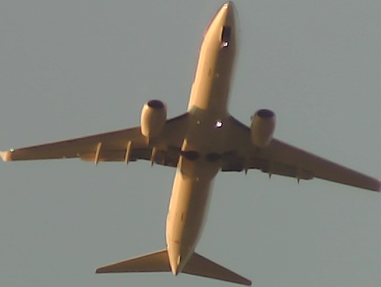 Airplane Picture