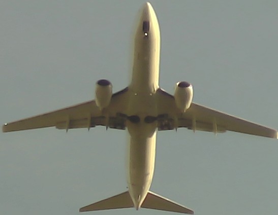 Airplane Picture