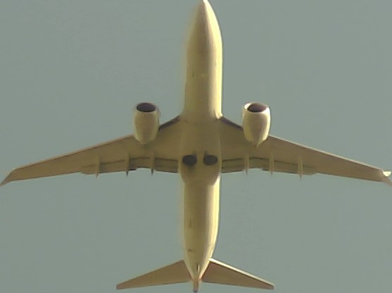 Airplane Picture