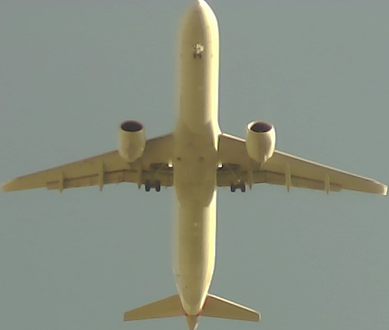 Airplane Picture