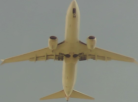 Airplane Picture
