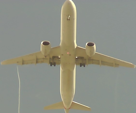 Airplane Picture