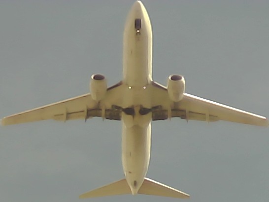 Airplane Picture