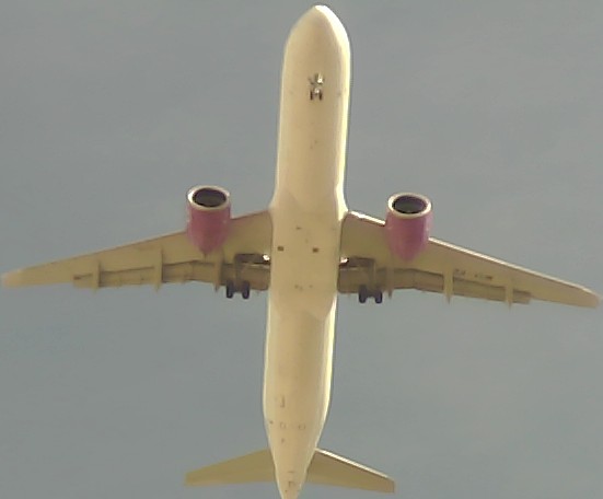 Airplane Picture