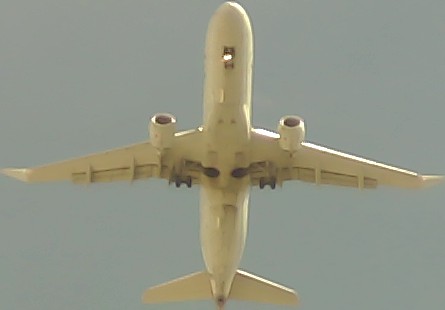 Airplane Picture