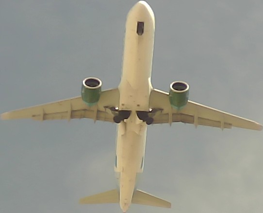 Airplane Picture
