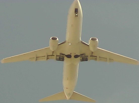 Airplane Picture