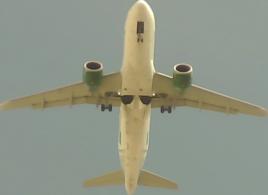 Airplane Picture