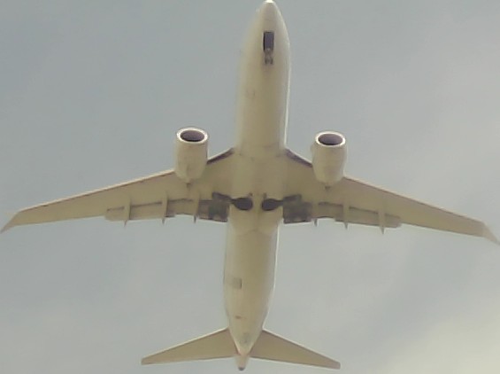 Airplane Picture