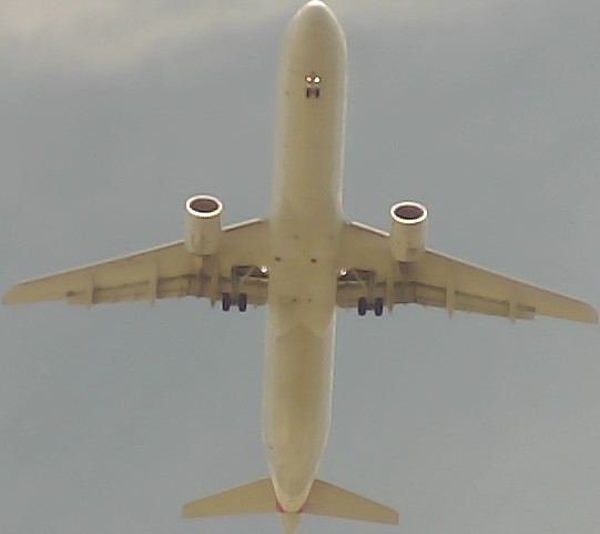 Airplane Picture