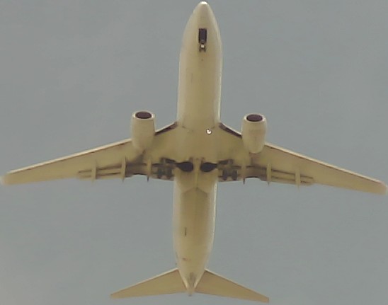 Airplane Picture