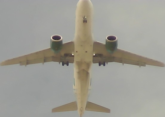 Airplane Picture