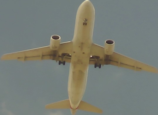 Airplane Picture