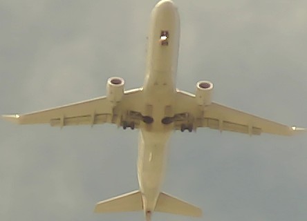 Airplane Picture