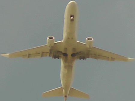 Airplane Picture