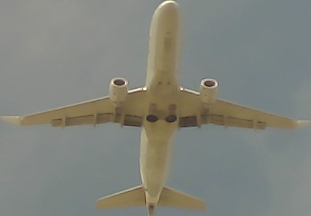 Airplane Picture