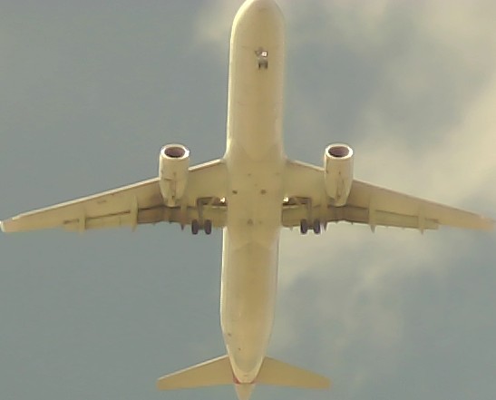 Airplane Picture