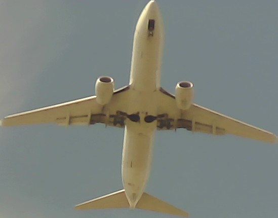 Airplane Picture