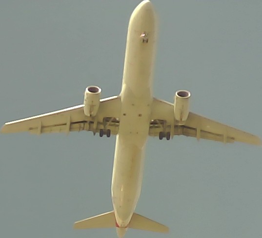 Airplane Picture