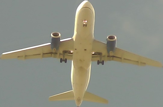 Airplane Picture